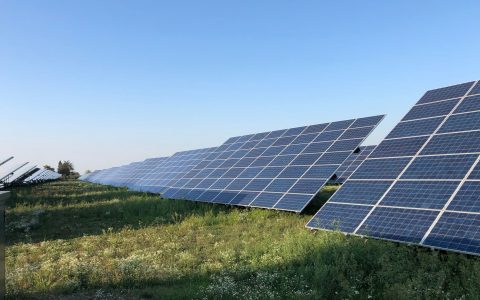 solar panels in a field