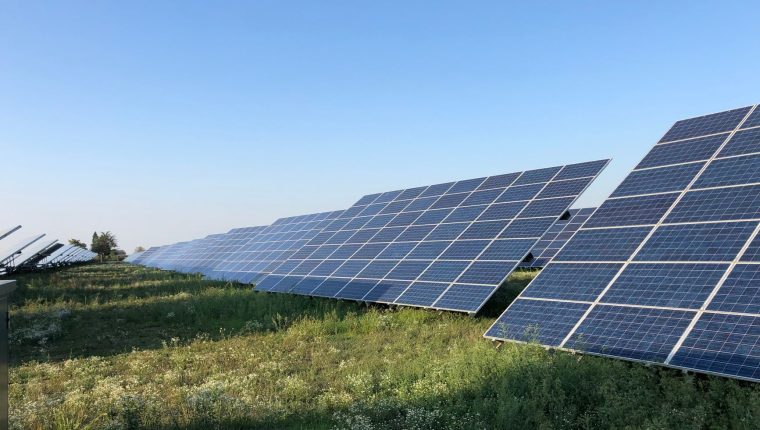 solar panels in a field