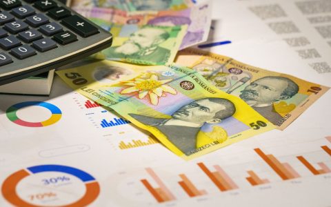 business analytics romanian currency banknotes