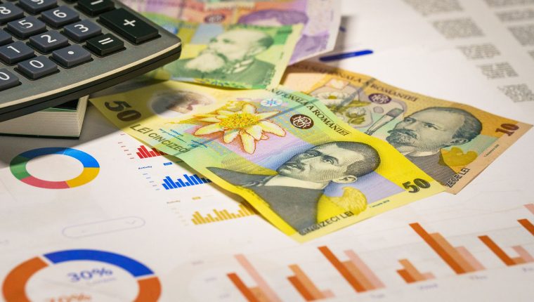 business analytics romanian currency banknotes
