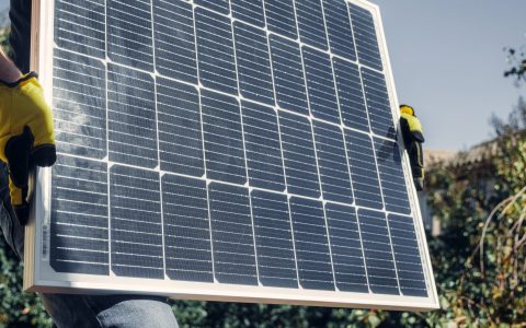 person holding a solar panel